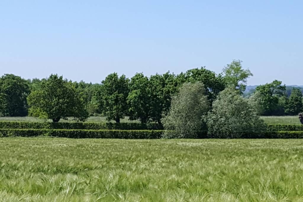 Gite Du Bocage Buysscheure Exterior photo